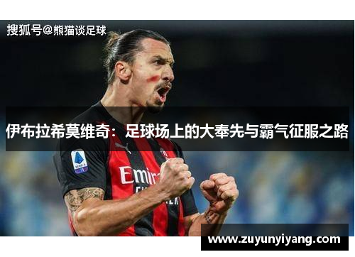 伊布拉希莫维奇：足球场上的大奉先与霸气征服之路